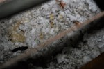IMG_1527, Unit G Urine, 2.JPG